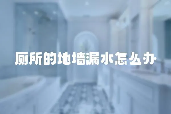 廁所的地墻漏水怎么辦