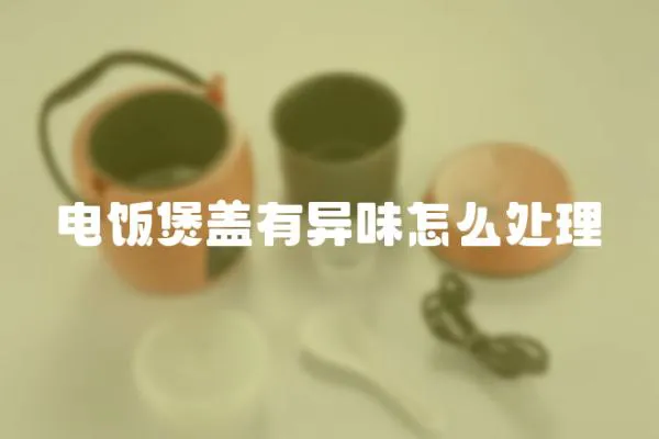 電飯煲蓋有異味怎么處理