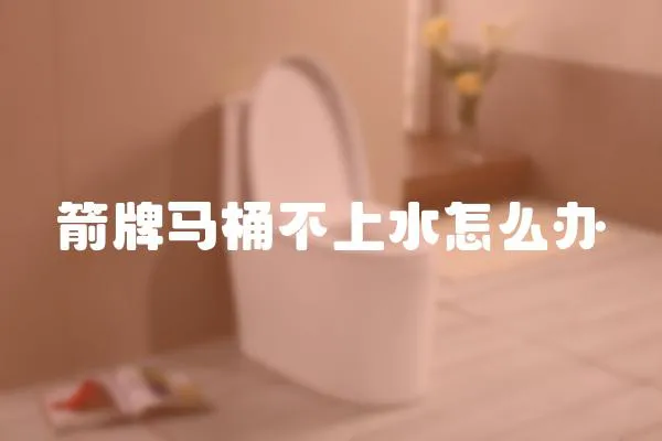 箭牌馬桶不上水怎么辦