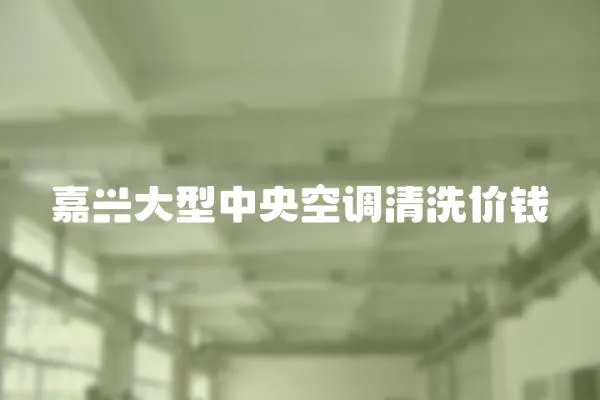 嘉興大型中央空調清洗價錢