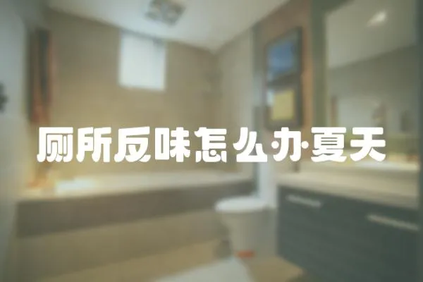 廁所反味怎么辦夏天
