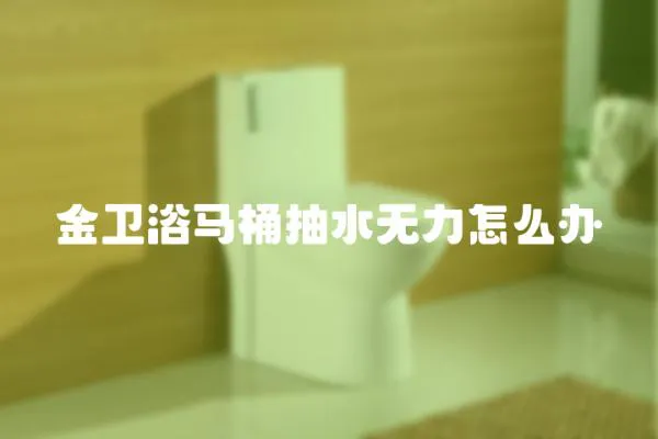 金衛浴馬桶抽水無力怎么辦