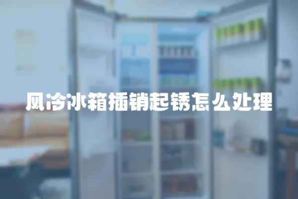 風冷冰箱插銷起銹怎么處理