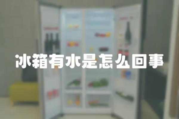 冰箱有水是怎么回事