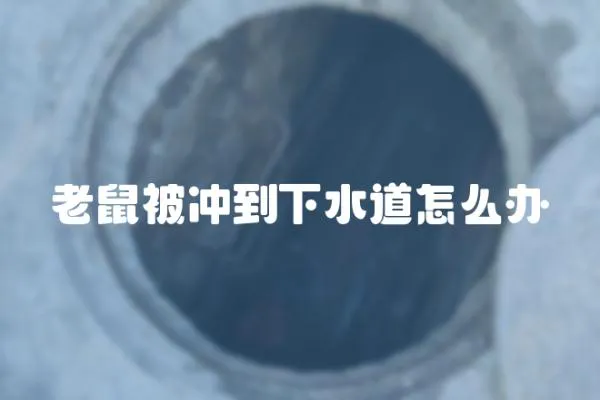 老鼠被沖到下水道怎么辦