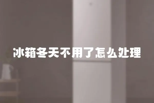 冰箱冬天不用了怎么處理