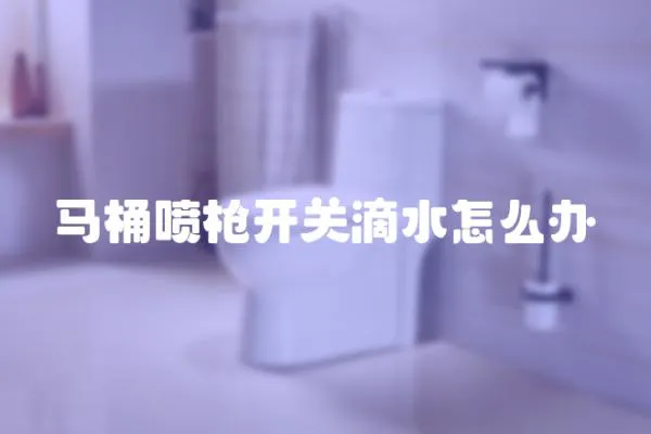 馬桶噴槍開關滴水怎么辦