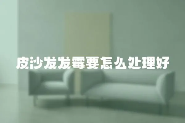 皮沙發發霉要怎么處理好