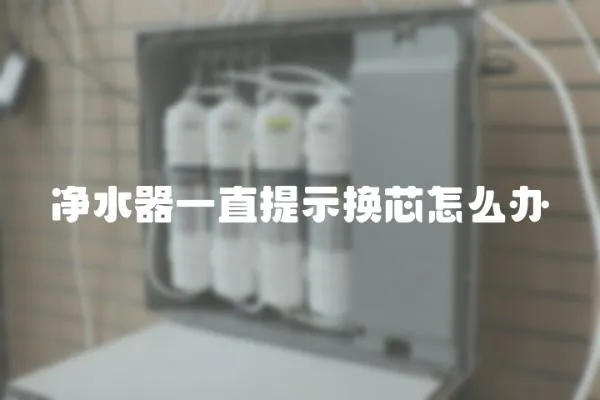 凈水器一直提示換芯怎么辦