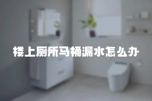 樓上廁所馬桶漏水怎么辦