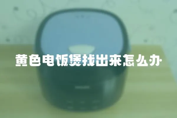 黃色電飯煲找出來怎么辦