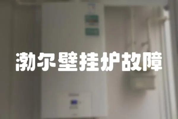 渤爾壁掛爐故障