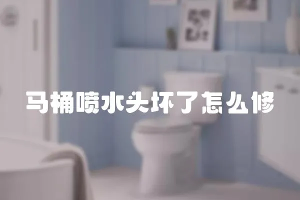 馬桶噴水頭壞了怎么修
