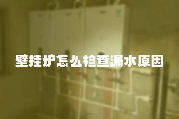 壁掛爐怎么檢查漏水原因