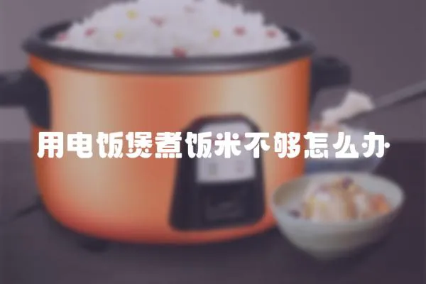 用電飯煲煮飯米不夠怎么辦