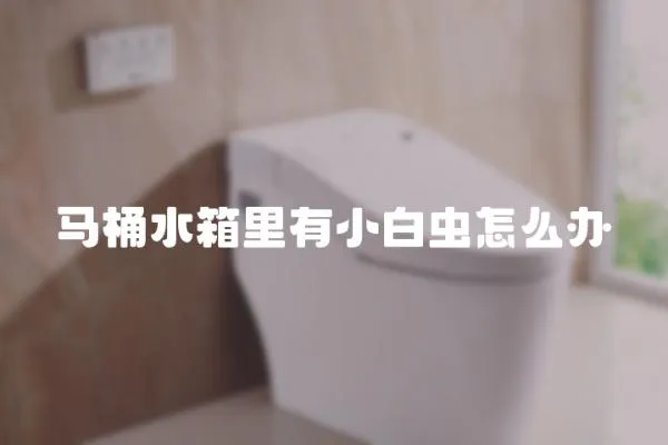 馬桶水箱里有小白蟲怎么辦