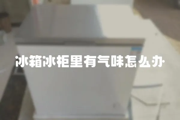 冰箱冰柜里有氣味怎么辦
