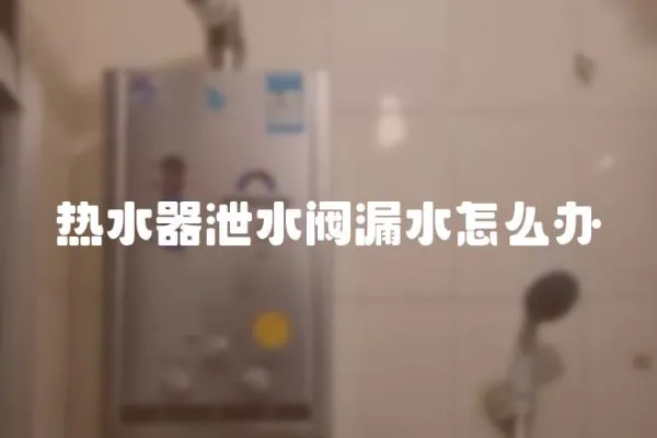 熱水器泄水閥漏水怎么辦