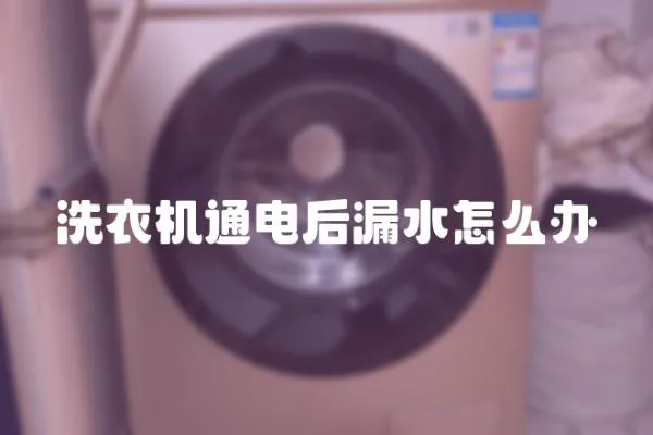 洗衣機(jī)通電后漏水怎么辦