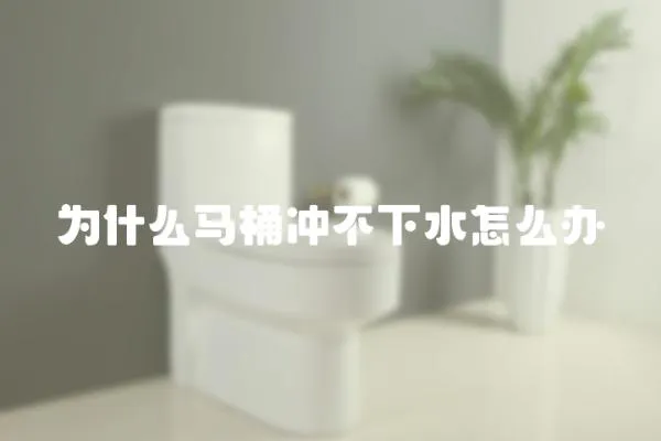 為什么馬桶沖不下水怎么辦