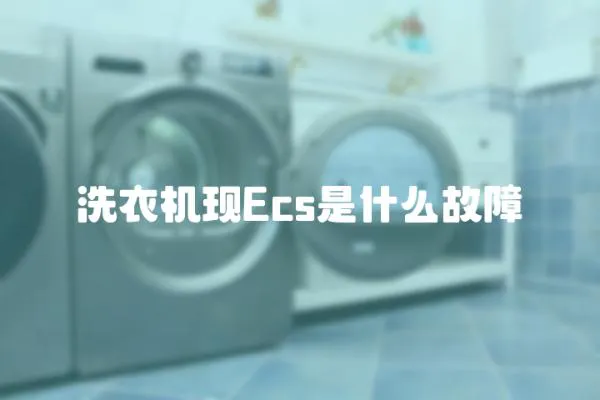 洗衣機現Ecs是什么故障
