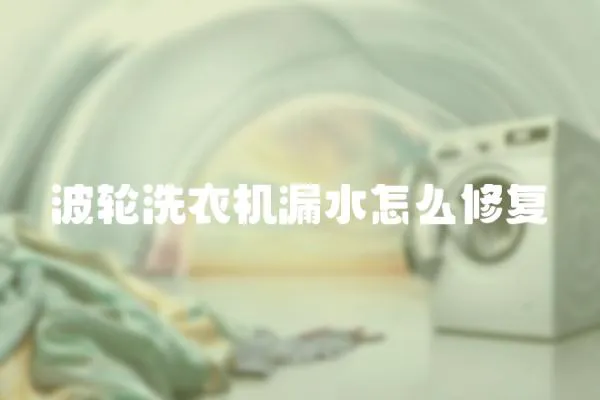 波輪洗衣機(jī)漏水怎么修復(fù)