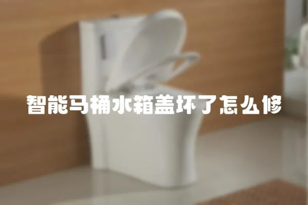 智能馬桶水箱蓋壞了怎么修