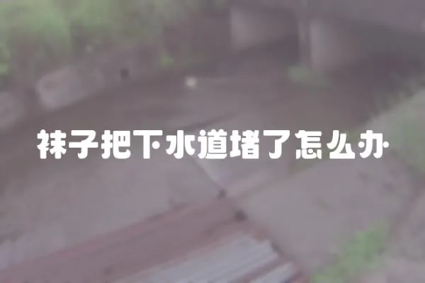 襪子把下水道堵了怎么辦