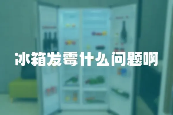 冰箱發霉什么問題啊