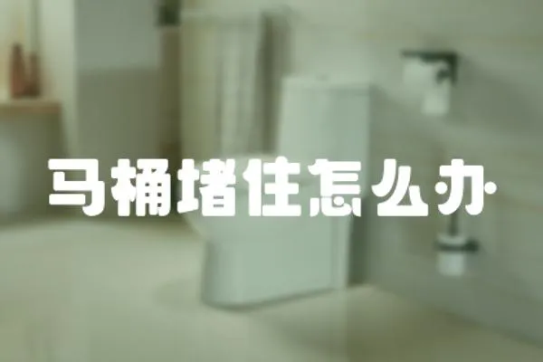 馬桶堵住怎么辦