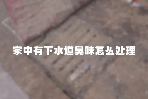 家中有下水道臭味怎么處理