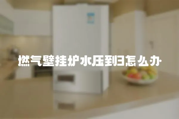 燃氣壁掛爐水壓到3怎么辦