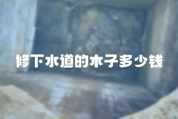修下水道的木子多少錢