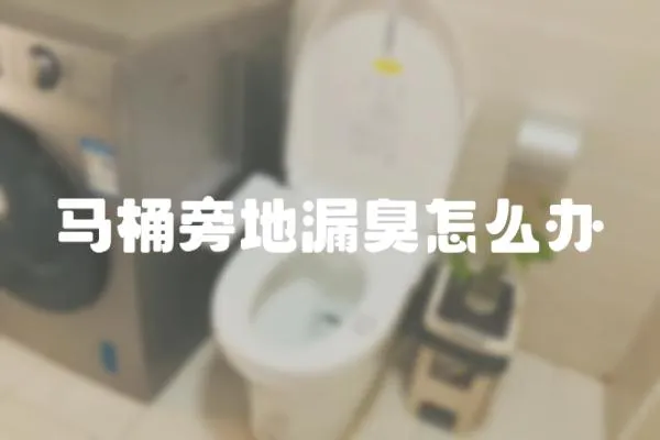 馬桶旁地漏臭怎么辦