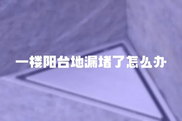 一樓陽臺(tái)地漏堵了怎么辦