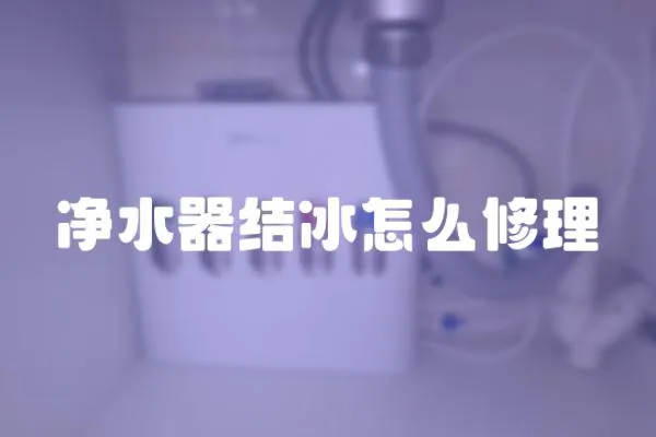 凈水器結冰怎么修理