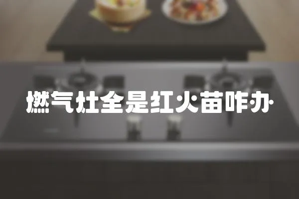 燃氣灶全是紅火苗咋辦
