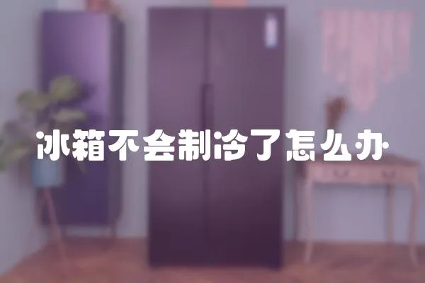 冰箱不會制冷了怎么辦
