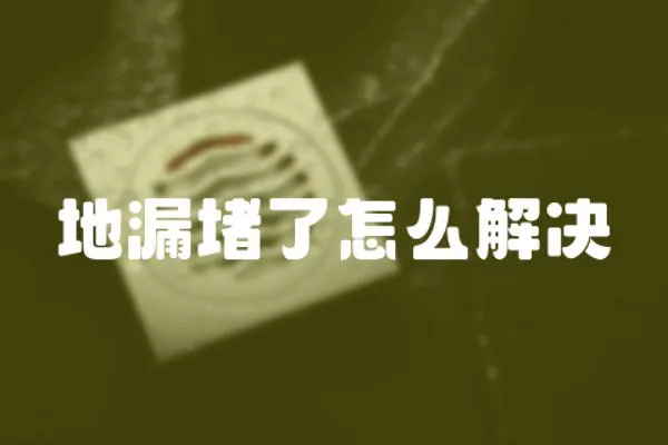 地漏堵了怎么解決