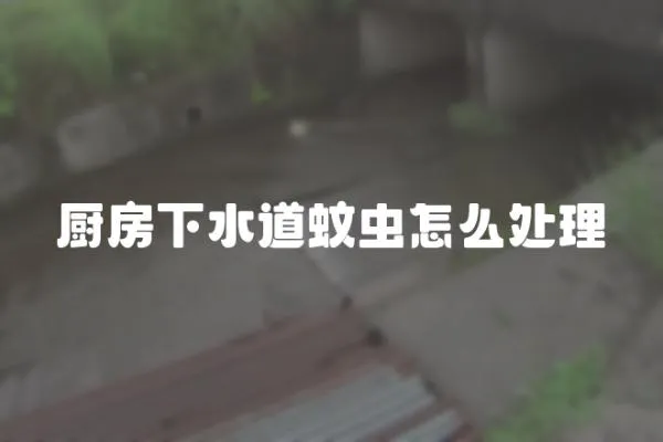 廚房下水道蚊蟲怎么處理