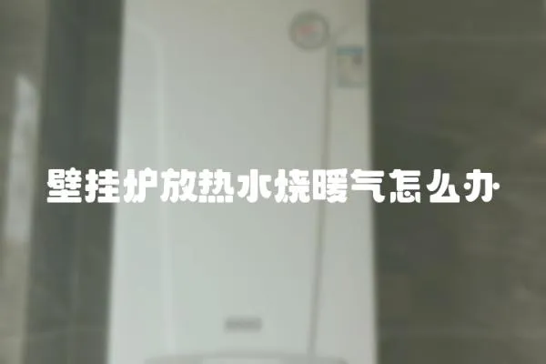 壁掛爐放熱水燒暖氣怎么辦