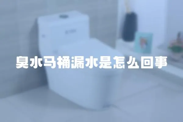 臭水馬桶漏水是怎么回事