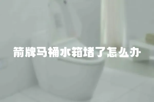 箭牌馬桶水箱堵了怎么辦