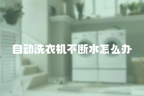 自動洗衣機不斷水怎么辦