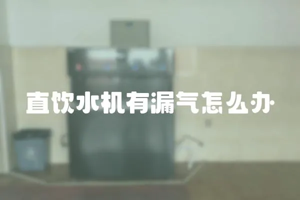 直飲水機(jī)有漏氣怎么辦