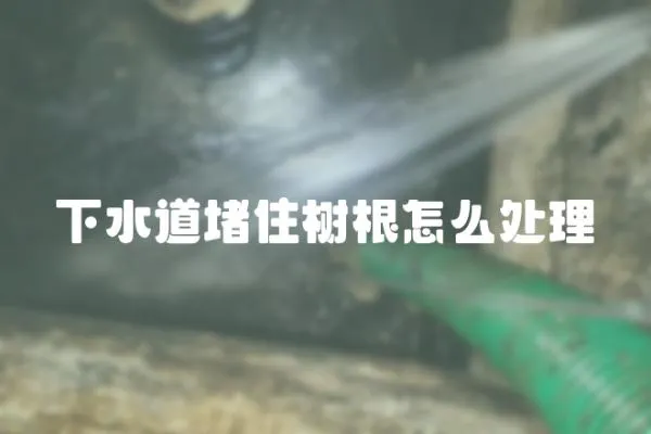 下水道堵住樹根怎么處理