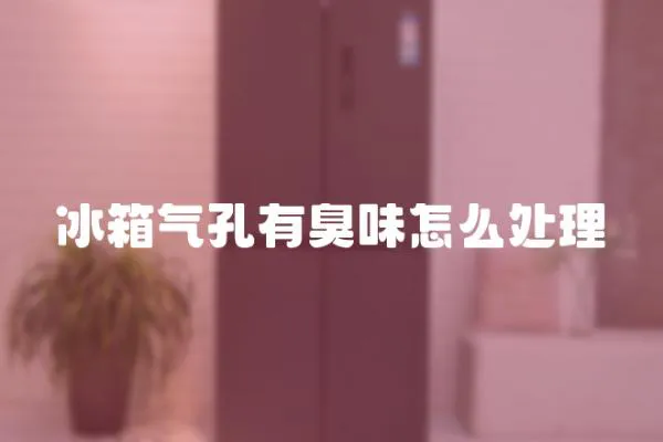 冰箱氣孔有臭味怎么處理