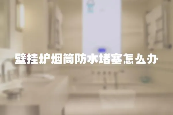 壁掛爐煙筒防水堵塞怎么辦