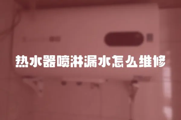 熱水器噴淋漏水怎么維修