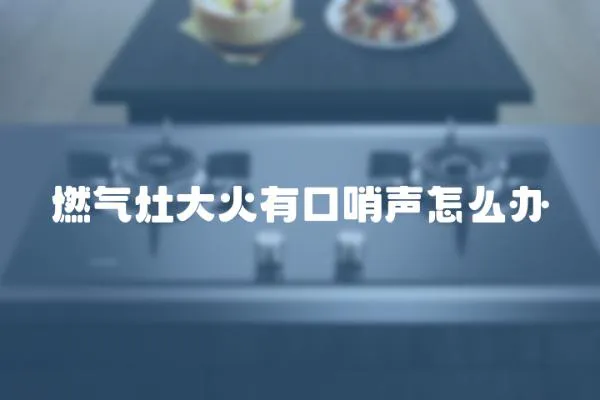 燃氣灶大火有口哨聲怎么辦